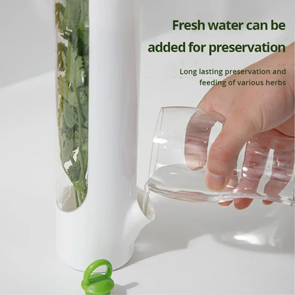 Boîte de conservation d'herbes avec couvercle pour préserver et stocker les légumes