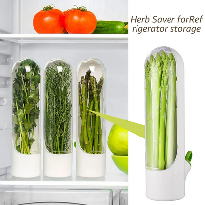 Boîte de conservation d'herbes avec couvercle pour préserver et stocker les légumes